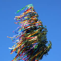 2026.05.01 Maibaum aufstellen
